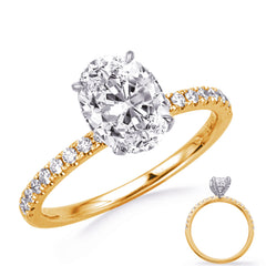 White & Yellow Gold Engagement Ring